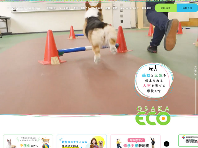 大阪ECO動物海洋専門学校